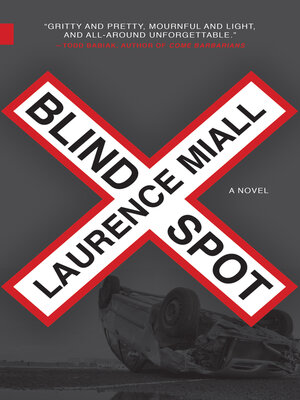 cover image of Blind Spot